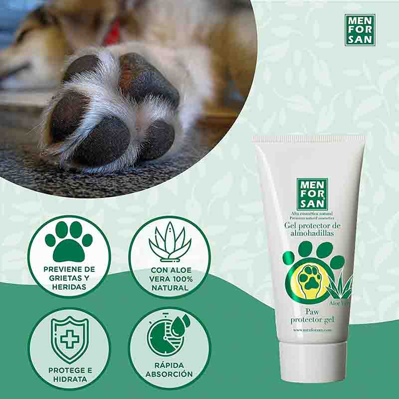 gel-progector-1-1.jpg gel progector 1 1