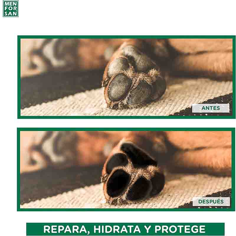 gel-progector-2-1.jpg gel progector 2 1