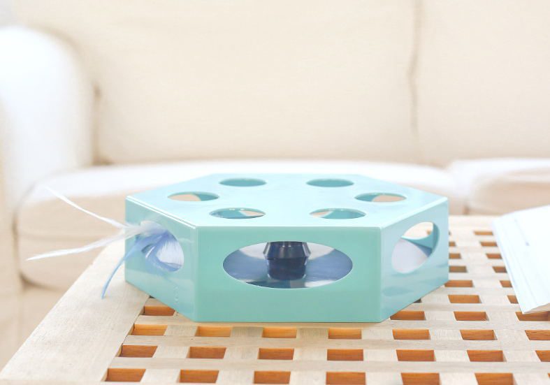 iT1107-animallovers-4-1-1.jpg iT1107 animallovers 4 1 1