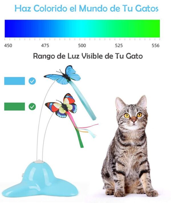 interactivo gato 1 1