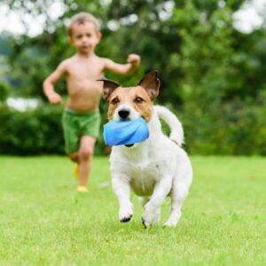 El Juguetes Mascotas Morderdor para Perro lata de goma con forma de lata de bebida soda estimula la diversión. Ayuda a tu perro a luchar contra el aburrimiento y a mantenerse ocupado mientras estás fuera. El juguete de perros mordedor es para perros de todas las edades y tamaños. Colores disponibles: Celeste y Rosa.