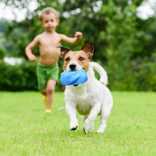 El Juguetes Mascotas Morderdor para Perro lata de goma con forma de lata de bebida soda estimula la diversión. Ayuda a tu perro a luchar contra el aburrimiento y a mantenerse ocupado mientras estás fuera. El juguete de perros mordedor es para perros de todas las edades y tamaños. Colores disponibles: Celeste y Rosa.