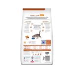 kd kidney care felino 1 1