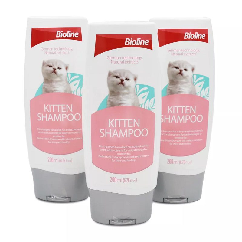 kitten-3-1.jpg kitten 3 1