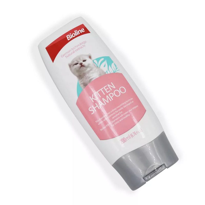 kitten-diagon-1.jpg kitten diagon 1