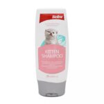 kitten front 1