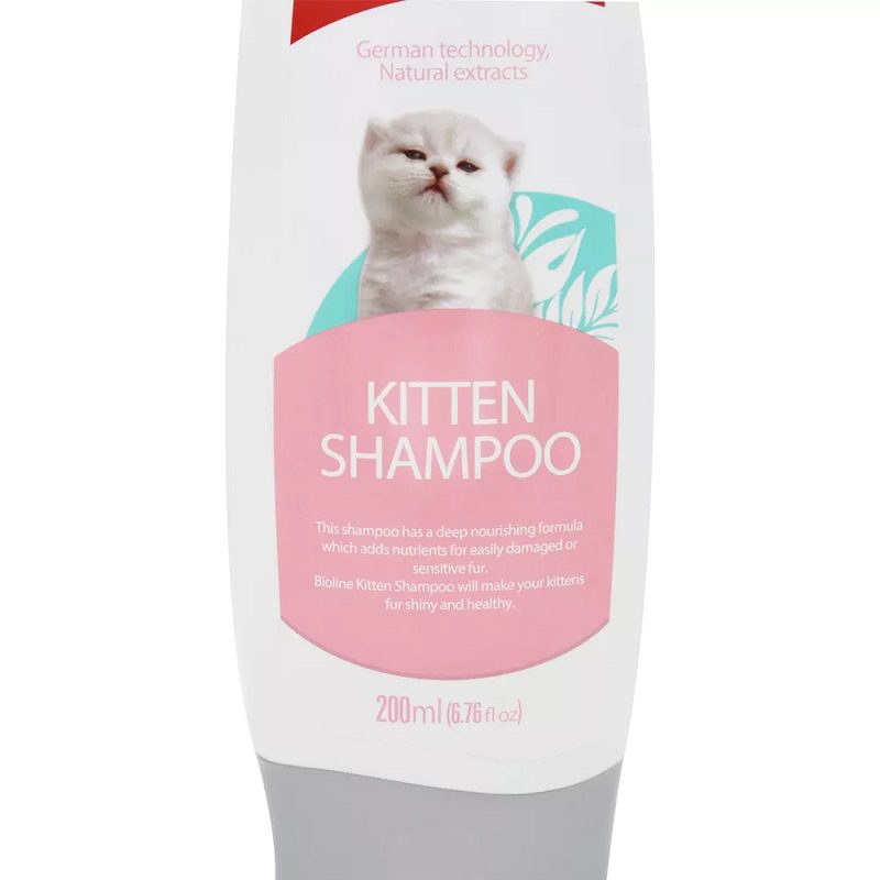 kittenn-1.jpg kittenn 1