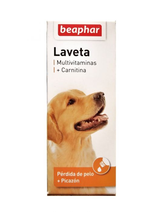 lavetaperro 1