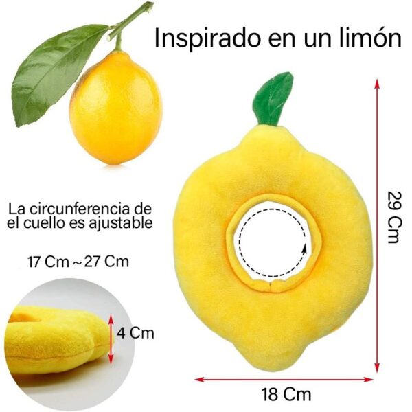 limon medidas 1 1