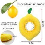 limon medidas 2