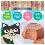 little big paw gourmet atlantic salmon 1 1