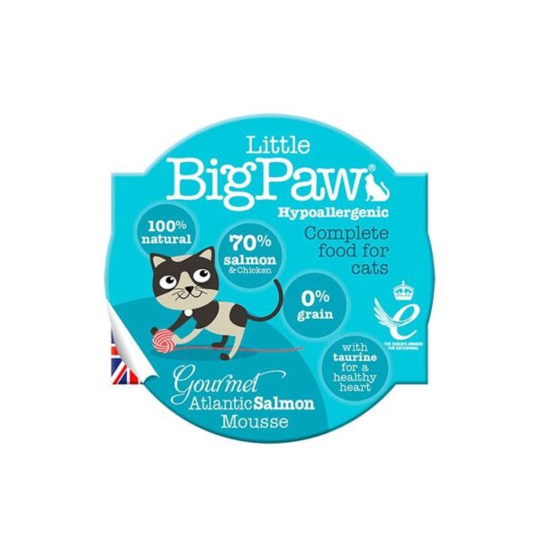 little big paw gourmet atlantic salmon 2