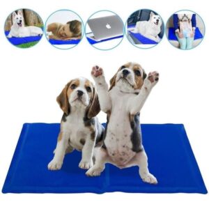 Manta Refrescante para Perros, un tapete con gel que se activa con el calor del cuerpo de nuestro perro.
