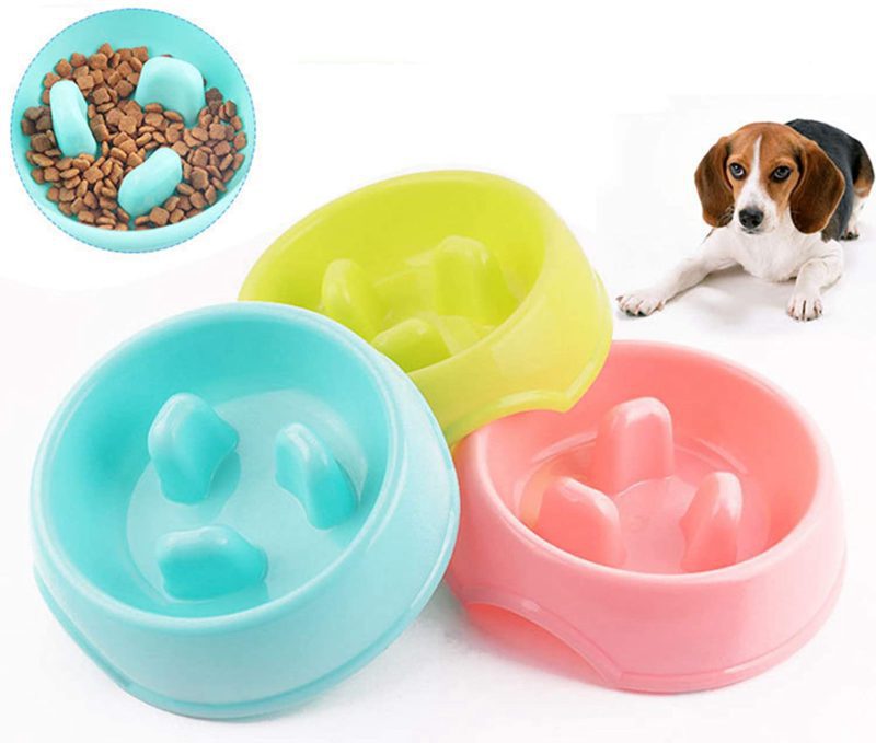 plato-lento-1.jpg plato lento 1