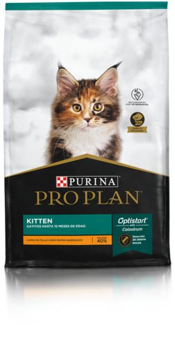 proplan kitten cat 1