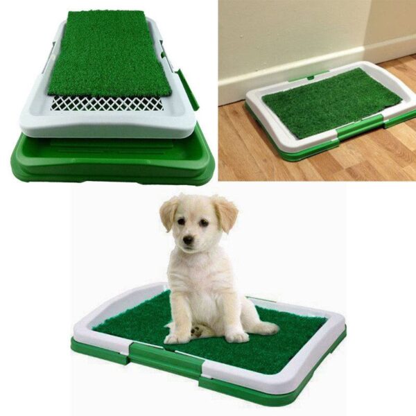 puppy potty pad 6 1