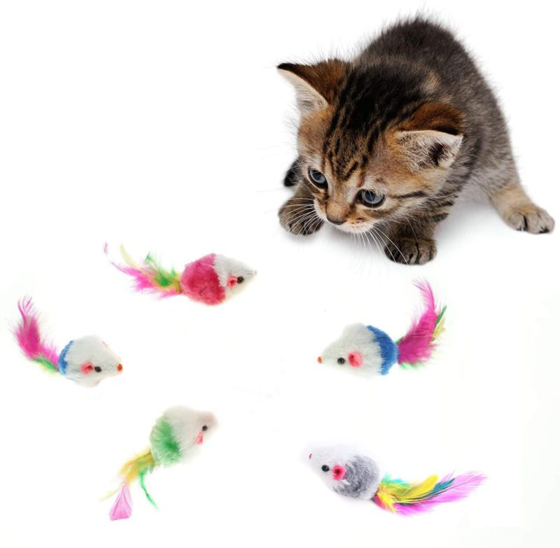 raton.set-5-1.jpg raton.set 5 1