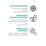 repairit3 1