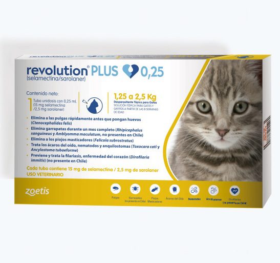 revolution plus 025 1