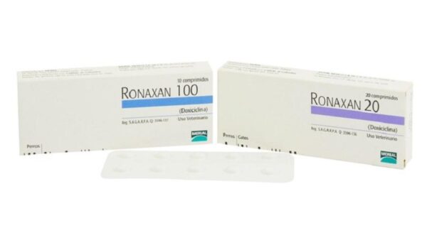 ronaxan ronaxan 1 1