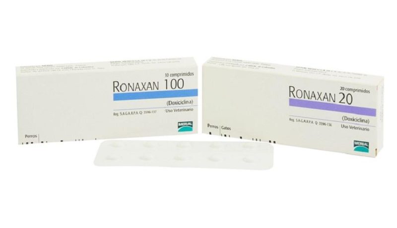 ronaxan-ronaxan-1-1.jpg ronaxan ronaxan 1 1