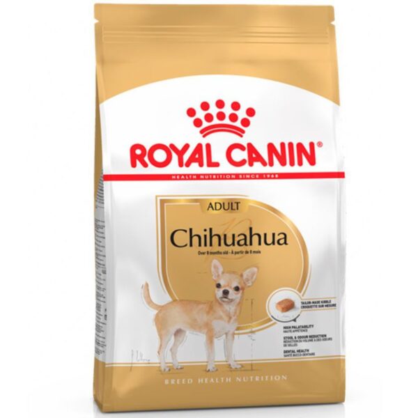 royalcaninchihuahuaadulto9579 1