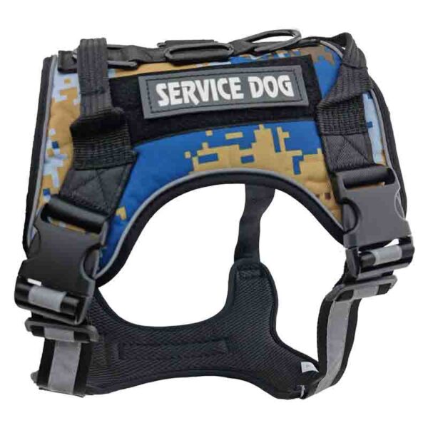 service dog azul 3 1 1