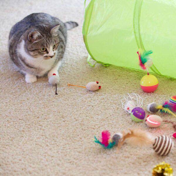 set de juguetes para gatos 1