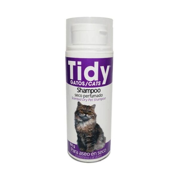 tidy shampoo seco perfumado 1