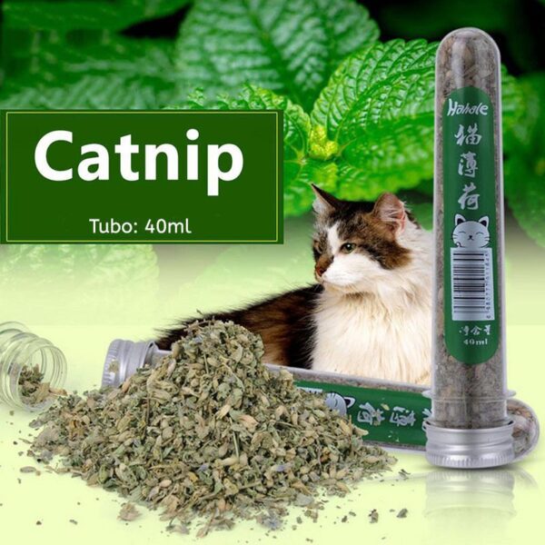 tubo catnip 5 1