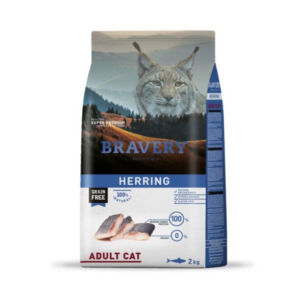 BraveryHerringCat2KG