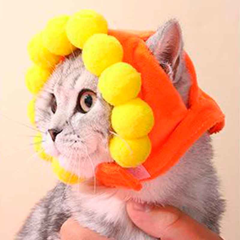 gorro-flor-gato-6 gorro flor gato 6