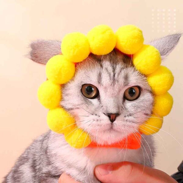 Disfraz de gato, gorro flor , es un divvetido gorrito que cuenta con unos popompones rodeando la cirunferencia de la cara que simulan un girasol