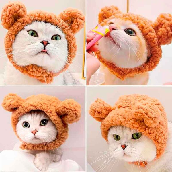 gorro oso gato 5