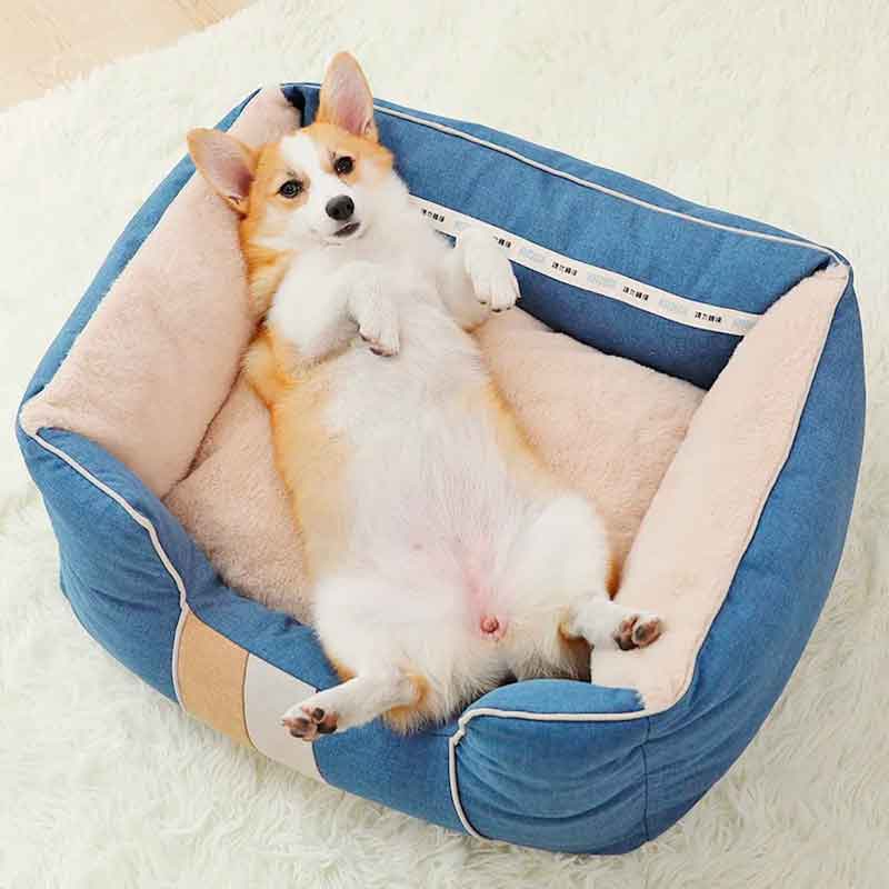 cama-perro-xl-lino-sintetico La Cama de Perro XL en lino sintético combina la elegancia del diseño con la comodidad y la durabilidad necesarias para satisfacer las necesidades de tu mascota.