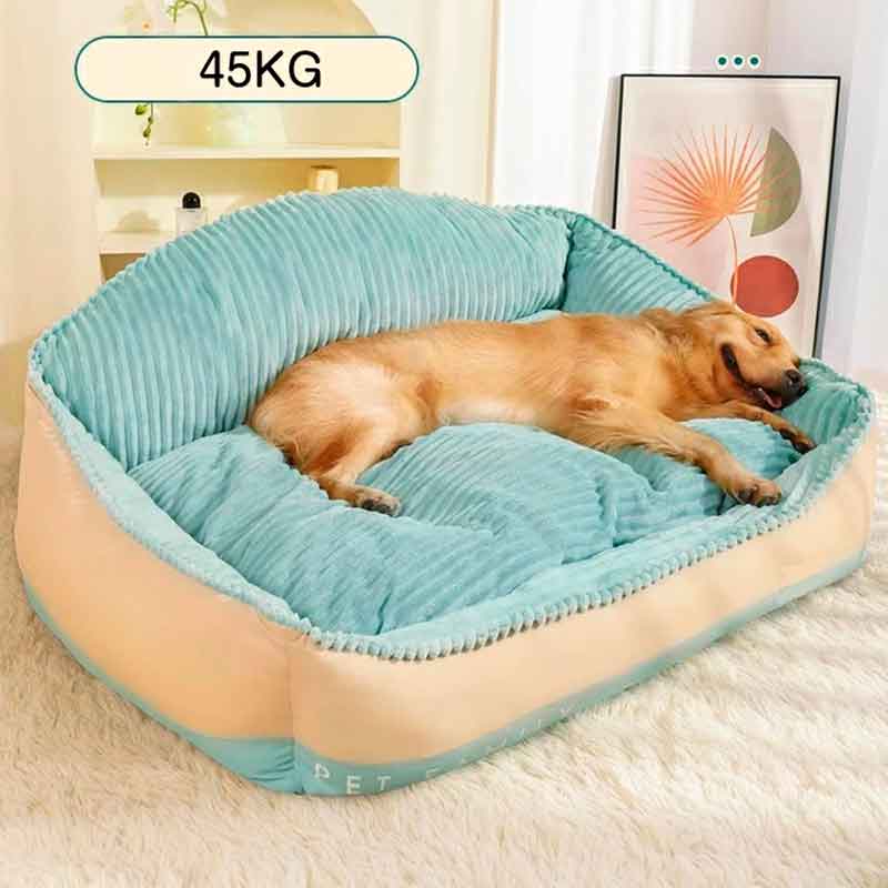 Cama-sofá-Cotelón-Premium-Celeste-7-6 Sofá para Perros Cama XL ofrece un espacio amplio y cómodo para que tu mascota pueda descansar plácidamente.