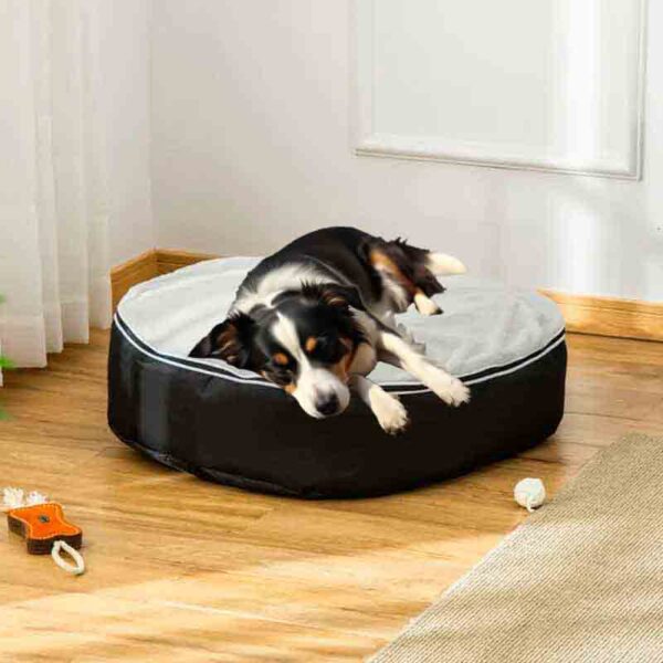 cama elevada para perros , una cama ovalada que sera el deleite de tu mascota