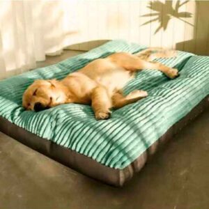 Las Camas para Perros XXL Super Colchón Hoopet son la elección ideal para proporcionar a tu compañero canino de gran tamaño un lugar de descanso lujoso y cómodo.