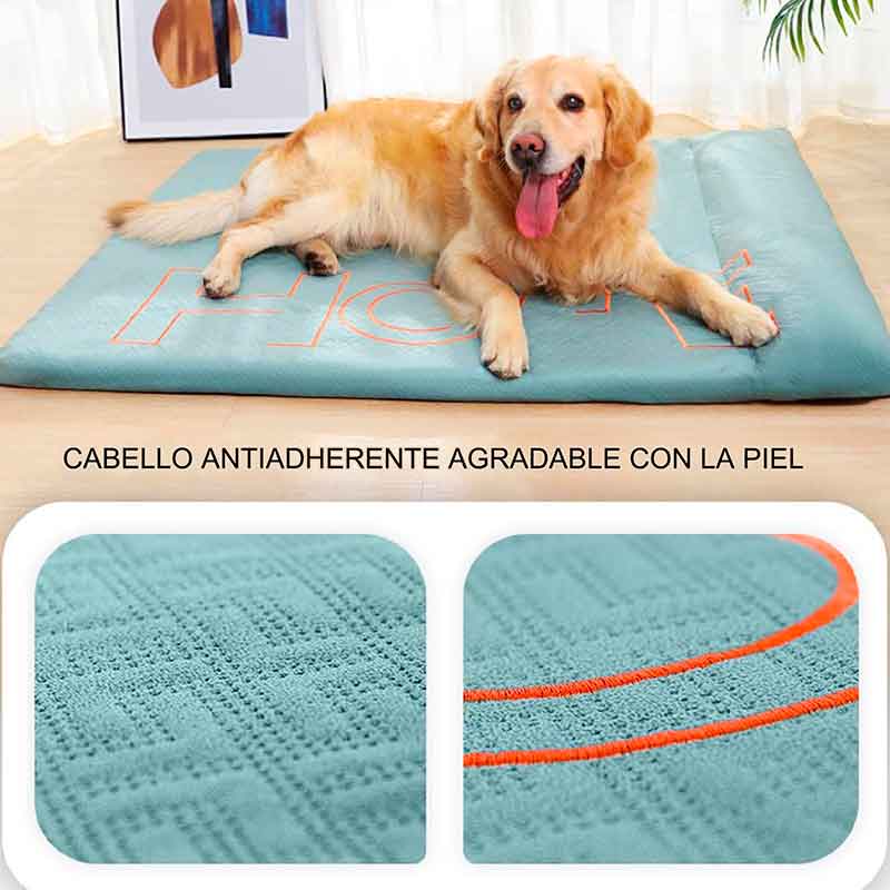 cama-colchon-verano-lavable-7-7 cama colchon verano lavable 7 7