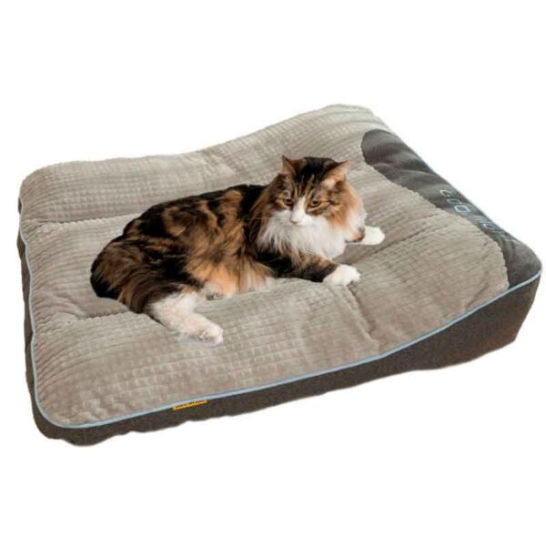 cama gato colchon