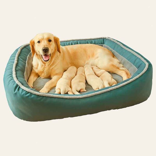 Cama Nido Perro de Lujo Talla L, 3 tributos Exclusiva, Cómoda y AntiestrésConceptos 1 Producto Diseño Eficaz y Única