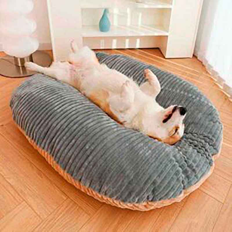 cojin-para-perros-pequeños Cojin para perros pequeños lavable y acogedor para el regalon