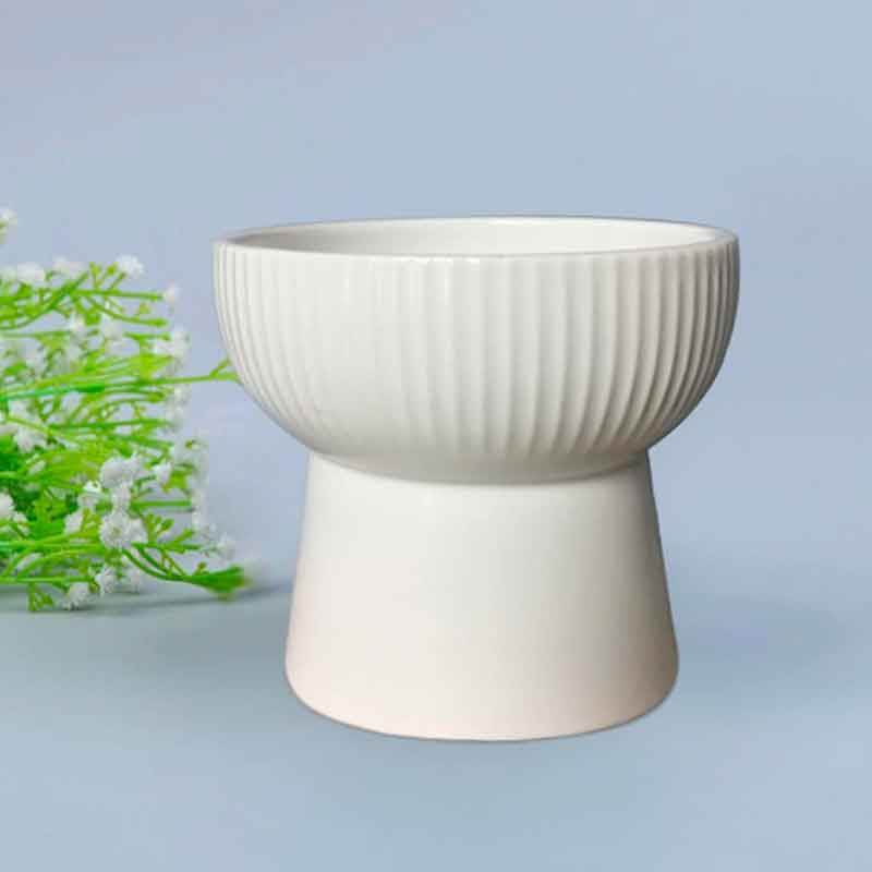 comedero-alto-para-gatos-de-ceramica-blanco Comedero Gato Elevado de cerámica celeste es la elección perfecta para brindarle a tu amigo felino una experiencia de alimentación cómoda y elegante. Con un tamaño adecuado para gatos de todas las razas y tamaños, este comedero ofrece suficiente espacio para que tu mascota se alimente cómodamente. Es perfecto para gatos pequeños, medianos y grandes.