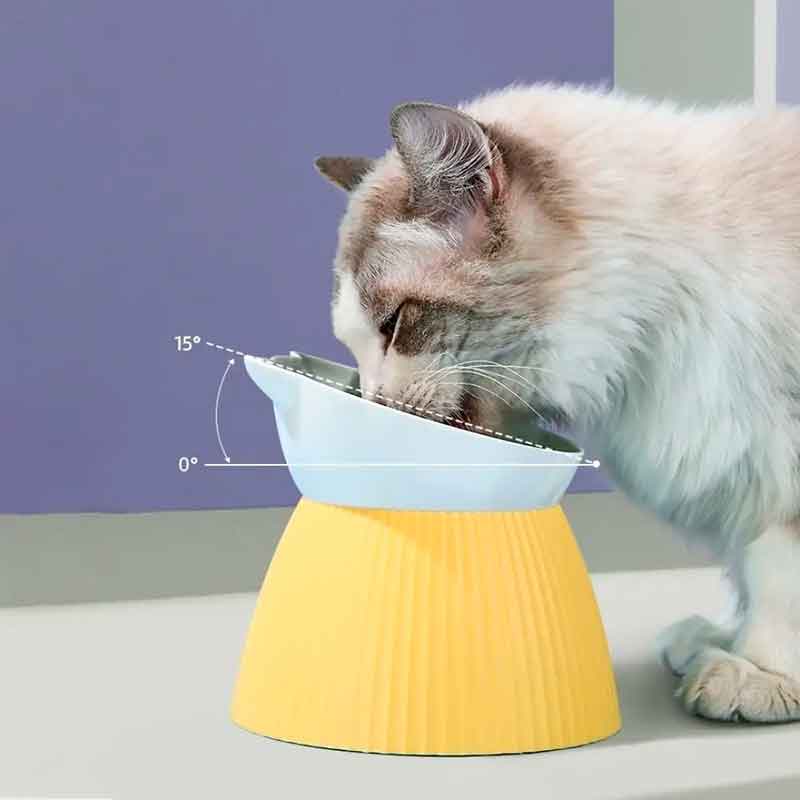 plato-elevado-cara-gato-7-6 plato elevado cara gato 7 6