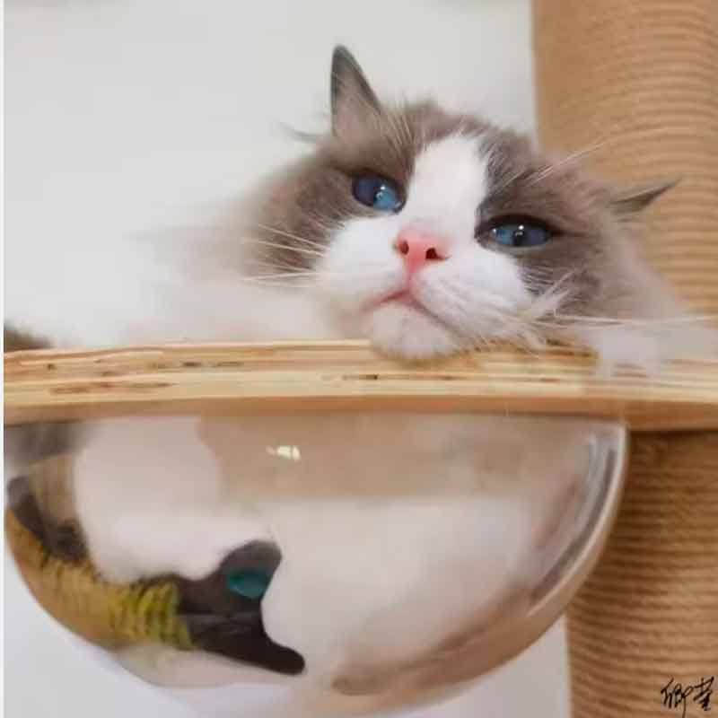 rascador-piso-cielo-xxl-7-7 rascador piso cielo xxl 7 7