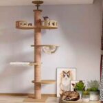 Torre para Gato de 2,6 Metros Pro está siseñada para ofrecer un paraíso vertical a tu mascota, esta torre combina funcionalidad, comodidad y estilo en un paquete excepcional. Con características avanzadas y una altura impresionante, esta torre es ideal para departamentos y hogares donde el espacio vertical es clave.