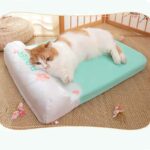 Cama gato Perro Verano Colchon