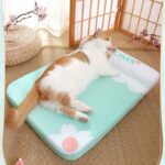 Cama gato Perro Verano Colchon 7 8