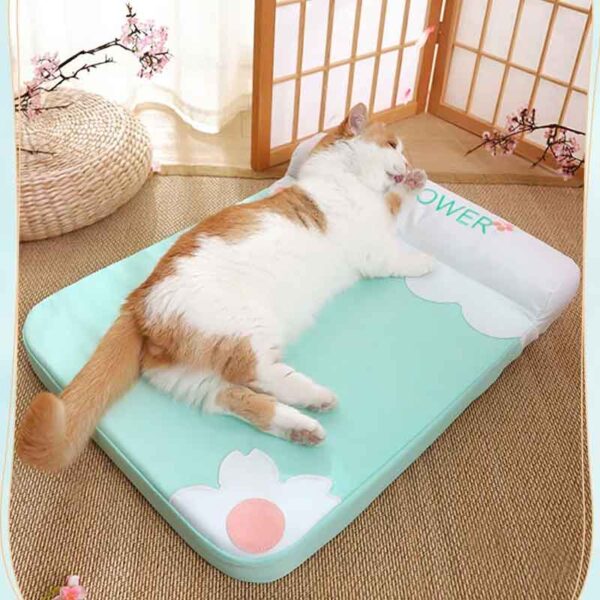 Cama gato Perro Verano Colchon 7 8