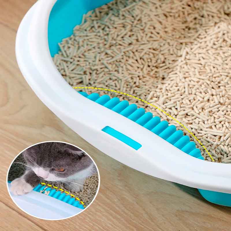 caja Arena Gatos bierta 7 15 1